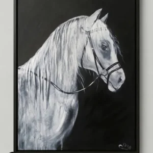 Karanlık arka plandan ışıkla beliren asil bir at profilini gösteren, siyah beyaz zıtlıklarının işlendiği, lüks iç mekanlar için sürrealist monokrom tablo.